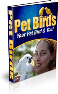 Ebook cover: Pet Birds
