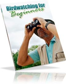 Ebook cover: Bird Watching For Beginners