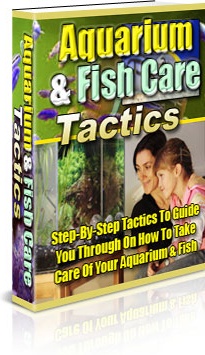Ebook cover: Aquarium & Fish Care Tactics