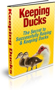 Ebook cover: Keeping Ducks