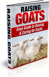 Ebook cover: Raising Goats