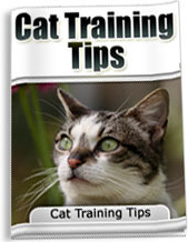 Ebook cover: Cat Training Tips