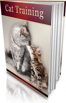 Ebook cover: Cat Training