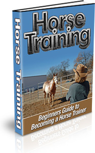 Ebook cover: Horse Training