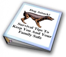 Ebook cover: Dog Attack!