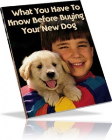 Ebook cover: The Inside Scoop on DOG BREEDS