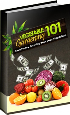 Ebook cover: Vegetable Garden 101