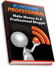 Ebook cover: Blogging Professional