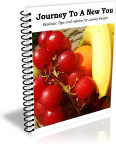 Ebook cover: Journey To A New You