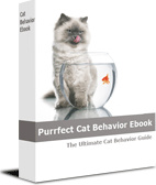 Ebook cover: Cat Behavior Problems