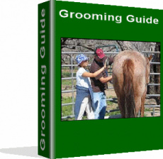 Ebook cover: Grooming Guide