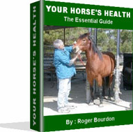 Ebook cover: Horse Health