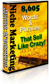 Ebook cover: Niche Marketing Words And Phrases That Sell Like Crazy!