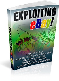 Ebook cover: Exploiting Ebay