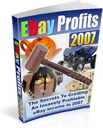 Ebook cover: Ebay Profits 2007