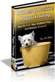 Ebook cover: Painless & Positive Puppy Training