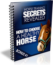 Ebook cover: How to Choose a Healthy Horse