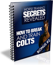 Ebook cover: How to Break and Train Colts