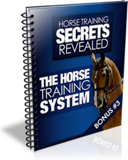 Ebook cover: The Horse Training System