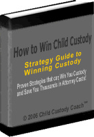 Ebook cover: How to Win Child Custody