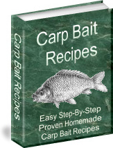 Ebook cover: Carp Bait Recipes