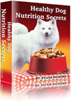 Ebook cover: Healthy Dog Nutrition Secrets
