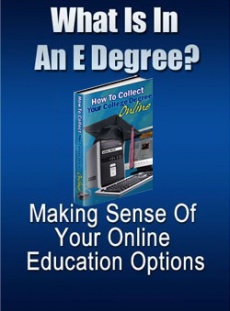 Ebook cover: What Is In An E-Degree?