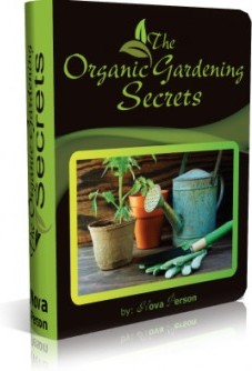 Ebook cover: The Organic Gardening Secrets