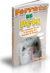 Ebook cover: Ferrets As Pets