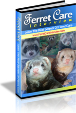 Ebook cover: Ferret Care