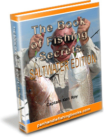 Ebook cover: The Book of Fishing Secrets