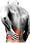 Ebook cover: BACK Injury Guide