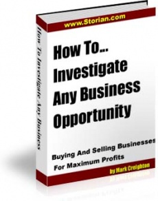 Ebook cover: How To Investigate Any Business Opportunity