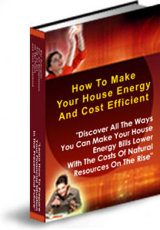 Ebook cover: How To Make Your House Energy And Cost Efficient
