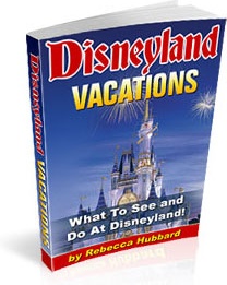 Ebook cover: Disneyland Vacations