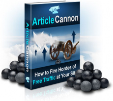 Ebook cover: Article Cannon