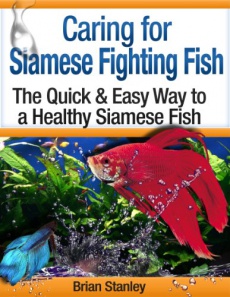 Ebook cover: Breeding Siamese Fighting Fish