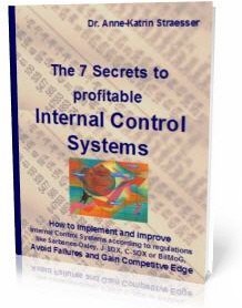 Ebook cover: The 7 Secrets of Highly Profitable Internal Control Systems