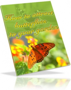 Ebook cover: How to Attract Butterflies to Your Garden