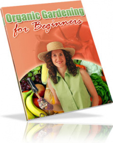 Ebook cover: Organic Gardening for Beginners