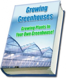 Ebook cover: All About Greenhouse Growing