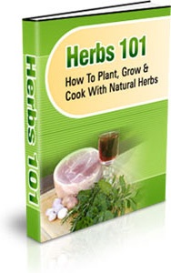 Ebook cover: Herbs 101