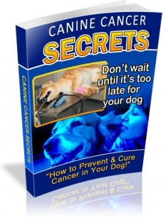 Ebook cover: Canine Cancer SECRETS