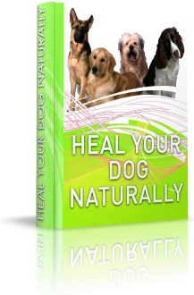 Ebook cover: Heal Your Dog Naturally