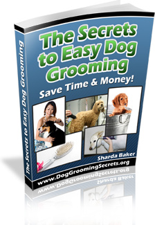 Ebook cover: The Secrets to Easy Dog Grooming