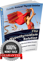 Ebook cover: The Hypothyroidism Solution
