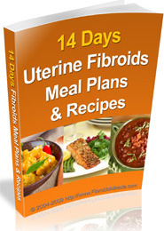 Ebook cover: 14-day Fibroids Meal Plan and Recipes