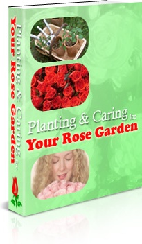 Ebook cover: The Planting & Caring for Your Rose Garden