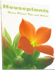 Ebook cover: House Plants