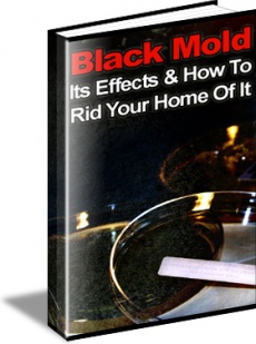 Ebook cover: Black Mold